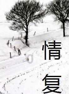狂野飙客3